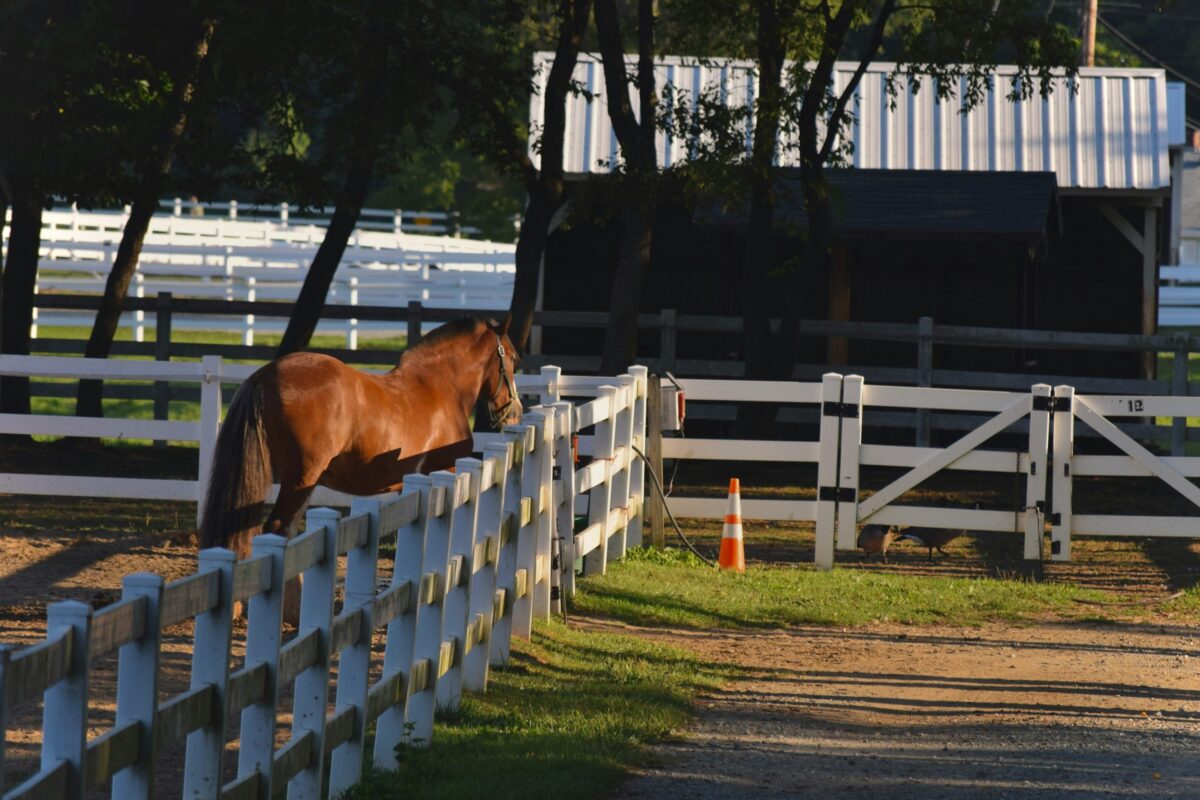 Comment trouver la meilleure agence de voyage à Ambérieu-en-Bugey ?