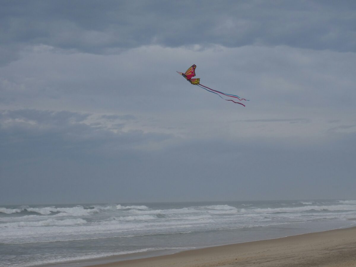 Les plages autorisent-elles la présence des chiens ?