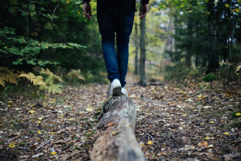 découvrez les meilleures destinations de randonnée et trouvez des conseils pour pratiquer la randonnée en pleine nature.
