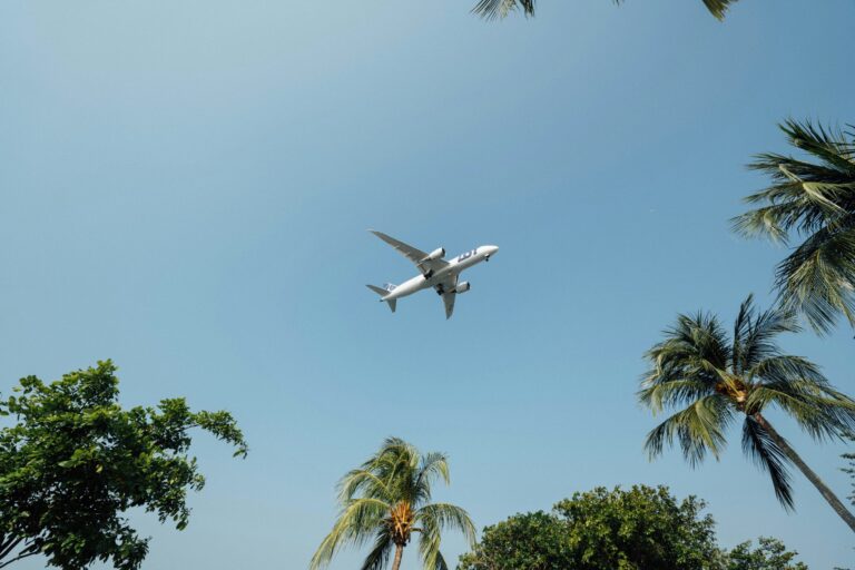 réservez des vols pas chers vers des destinations populaires avec notre service de réservation de vols en ligne. découvrez nos offres spéciales et trouvez votre prochain vol dès aujourd'hui.