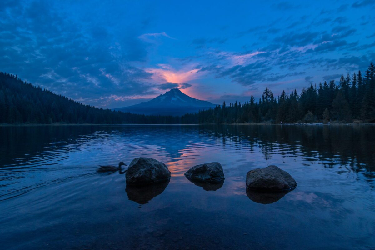 consultez les prévisions météorologiques actuelles pour votre région avec weather, le service de météo fiable et précis.