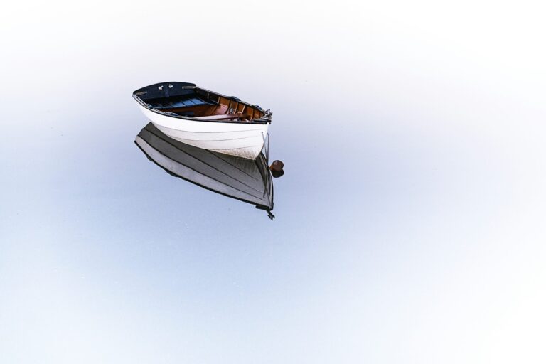remorquer un bateau avec professionnalisme et efficacité. découvrez nos services de remorquage de bateau adaptés à vos besoins.