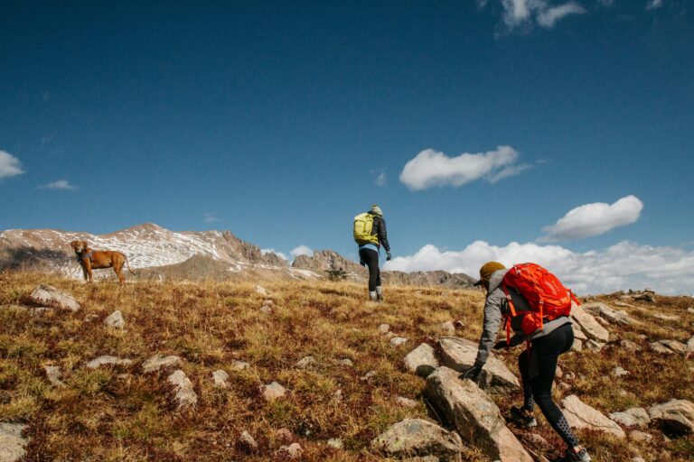 découvrez les plaisirs de la randonnée en pleine nature avec notre guide de hiking. trouvez des conseils, des parcours et une communauté passionnée à rejoindre.