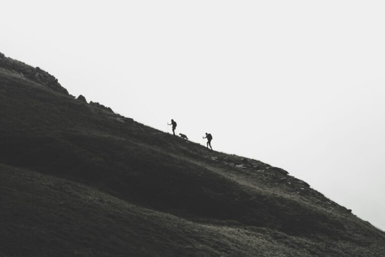 découvrez des informations pratiques sur la randonnée et les sentiers de randonnée pour vivre une expérience en pleine nature.