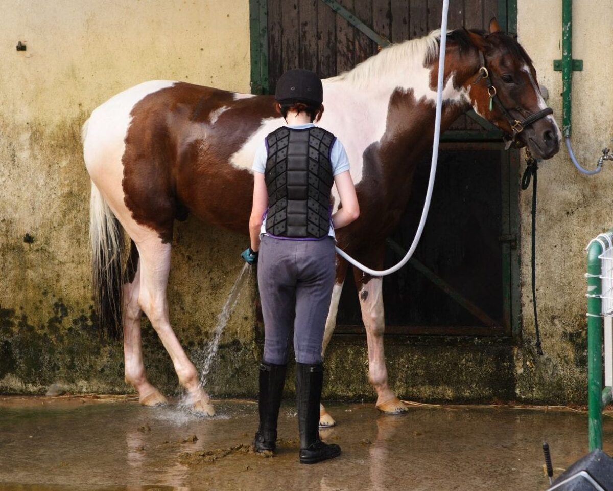 Combien ça coûte ? Le guide complet pour changer l’appareil photo de votre iPhone 12