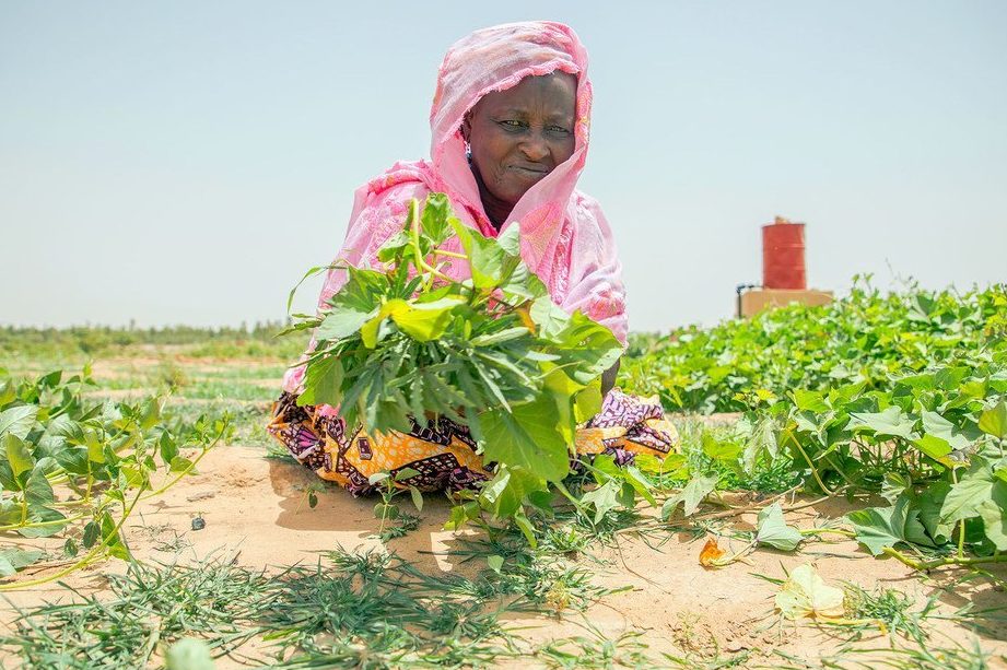 La montée en flèche de la fraude aux faux certificats médicaux : Comment l’économie en souffre-t-elle ?