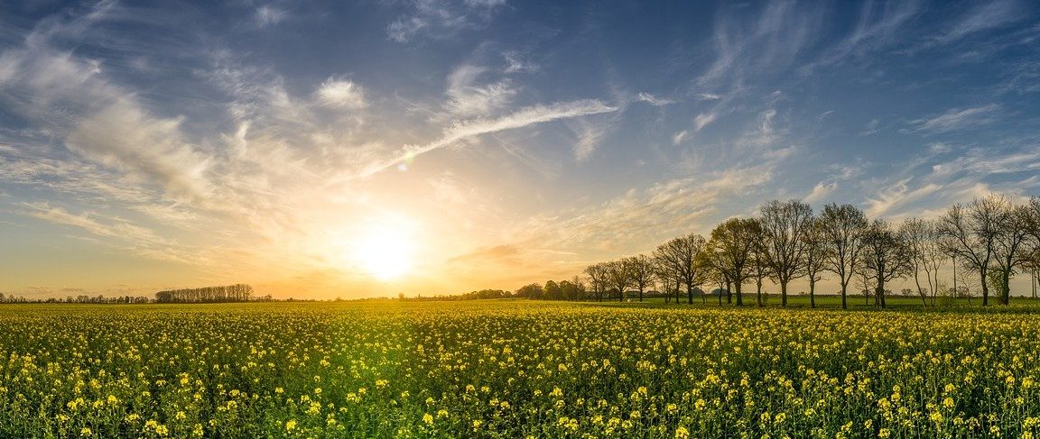 Le verrouillage AE/AF de l’iPhone: Comment cette fonctionnalité révolutionne la photographie mobile