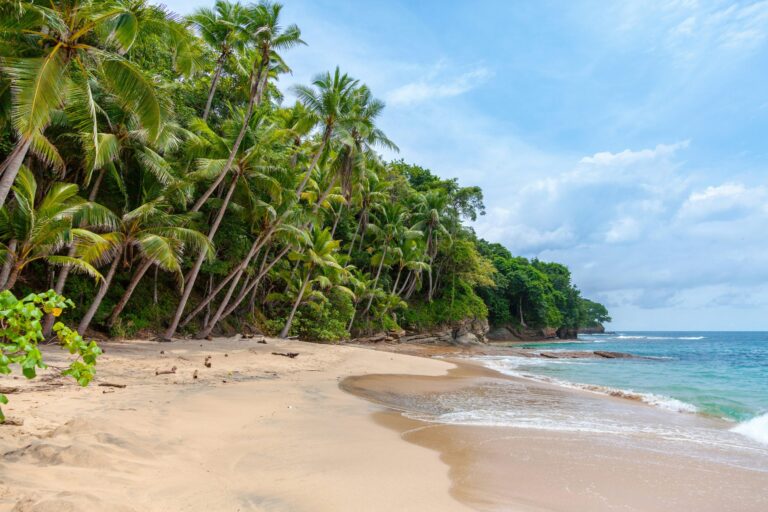 découvrez les plus belles plages du monde et préparez-vous à des vacances inoubliables avec notre sélection de destinations balnéaires de rêve.