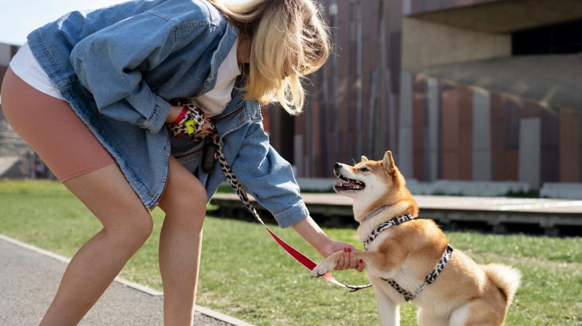 Comment choisir la meilleure formation en e-commerce pour booster votre activité en ligne