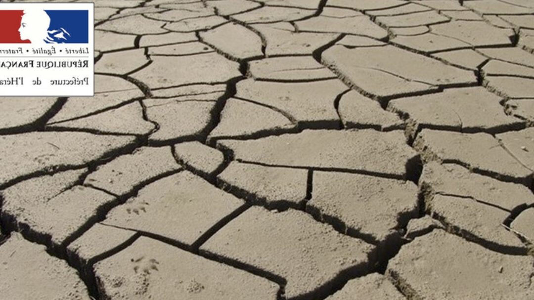 Alerte catastrophe: Mon MacBook a pris l’eau et refuse de s’allumer, que faire?