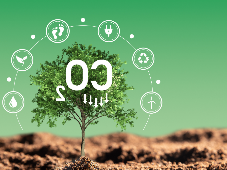 Intégrer l&rsquo;économie de route: les meilleures applis pour CarPlay en 2023